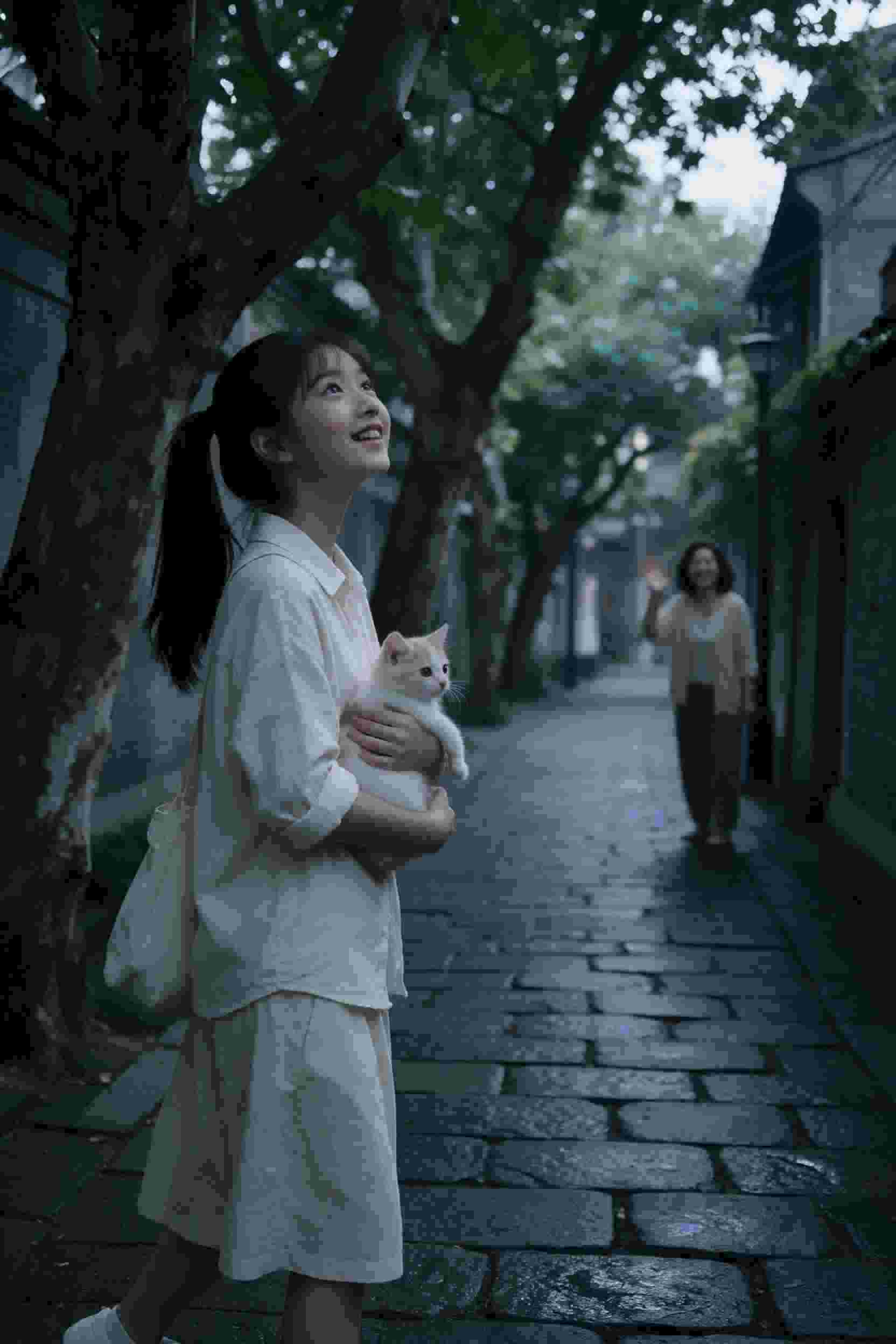 《青春无悔》
